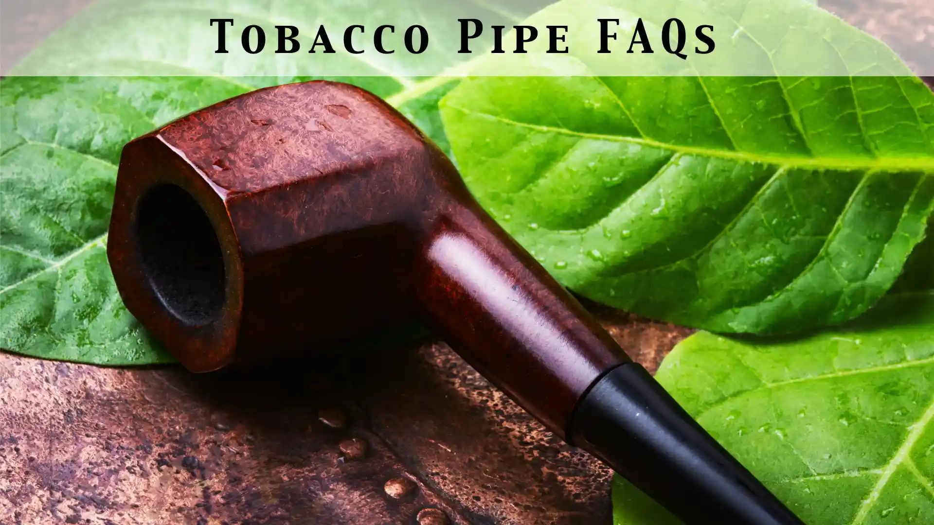 Tobacconist University, FAQs